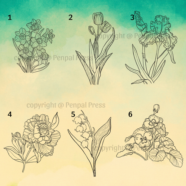 Set of six line drawings of flowers on a gradient background with Penpal Press branding.