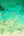 Illustrations of a butterfly, fish, plant, hummingbird, birds, and flamingo on a textured green background.