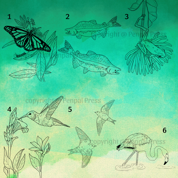 Illustrations of a butterfly, fish, plant, hummingbird, birds, and flamingo on a textured green background.