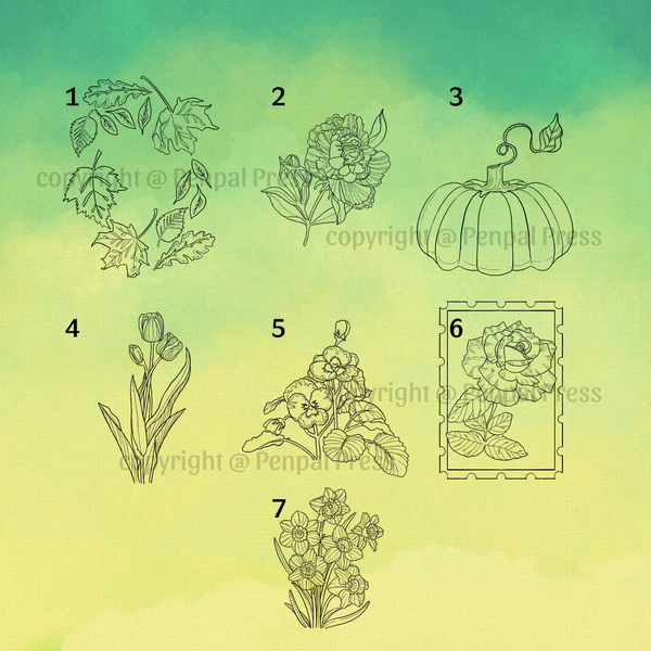 A group of linework designs that show fall leaves, flowers like peonies and tulips, and a pumpkin with a vine.