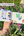 Mini travel palette with watercolor samples held in front of a garden background
