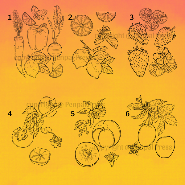 Set of six illustrations of fruits and vegetables on a yellow background